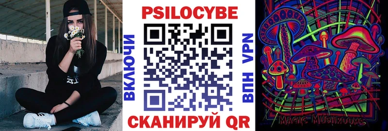 Галлюциногенные грибы Cubensis  omg вход  Новоалександровск 